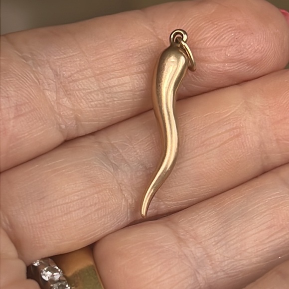 14 karat gold, Italian horn charm